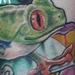 Prints-For-Sale - tree frog 03 - 62480